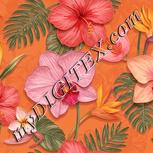 Colour:J