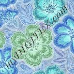 Colour:F