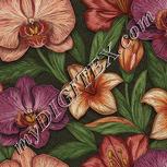 Colour:A