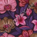 Colour:B