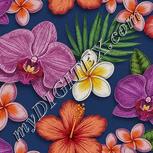 Colour:A