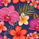 Colour:J