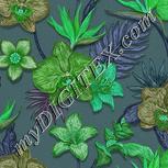 Colour:C