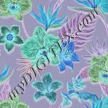 Colour:F