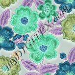 Colour:F