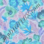 Colour:F