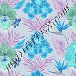 Colour:F