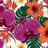 Colour:A