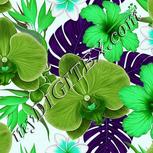 Colour:C