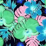Colour:F