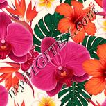 Colour:J