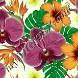 Colour:K