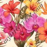 Colour:J