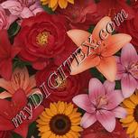 Colour:A