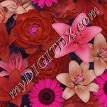 Colour:B