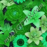 Colour:C