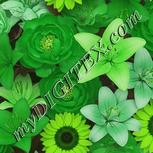 Colour:D