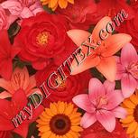 Colour:J