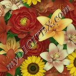 Colour:K