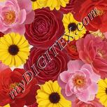 Colour:A