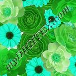 Colour:C