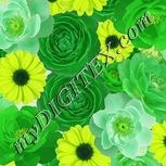 Colour:D