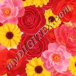 Colour:J