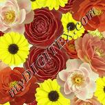 Colour:K