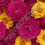 Colour:A