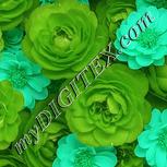 Colour:C