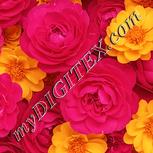 Colour:J