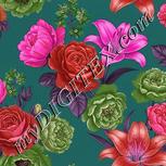 Colour:B