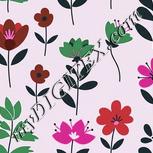 Colour:B