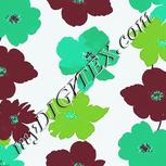 Colour:C