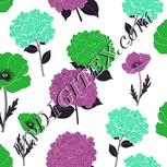 Colour:C