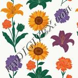 Colour:A