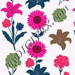 Colour:B