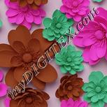 Colour:B