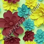 Colour:K