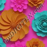 Colour:B