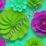 Colour:C