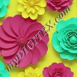 Colour:K