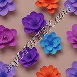 Colour:A