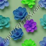 Colour:D