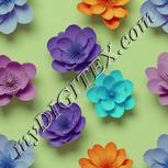 Colour:K