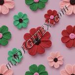 Colour:B