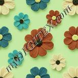 Colour:K
