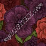 Colour:A