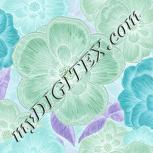 Colour:F