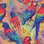 Colour:A